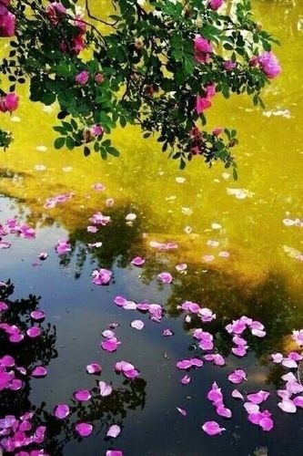 春路雨添花,花动一山春色.