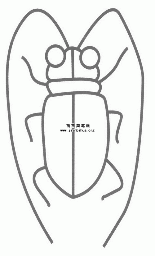 天牛是鞘翅目多食亚目天牛科昆虫的总称,咀嚼式口器,有很长的触角