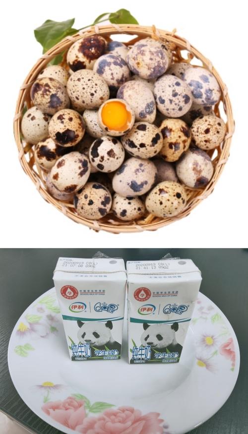 鹌鹑蛋伊利牛奶