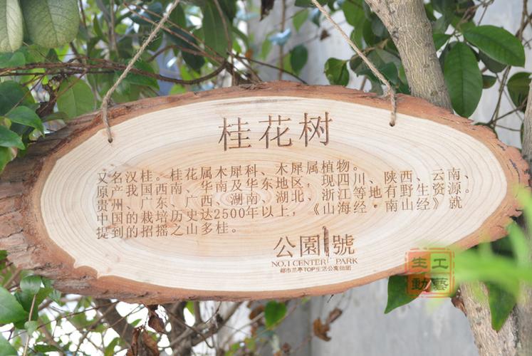 【带皮树料必须结合季节特定时间,生长环境,砍伐】故尺寸不能尽善尽美