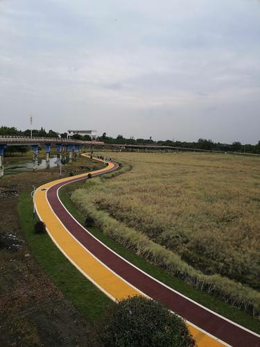 郫县三道堰花田喜事,空中绿道记录