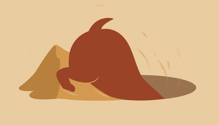 鱼与熊掌可以兼得吗