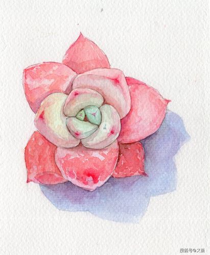 水彩,绘画,手绘,写实,写生,颜料,新手教程,水彩画入门,上色,初学者