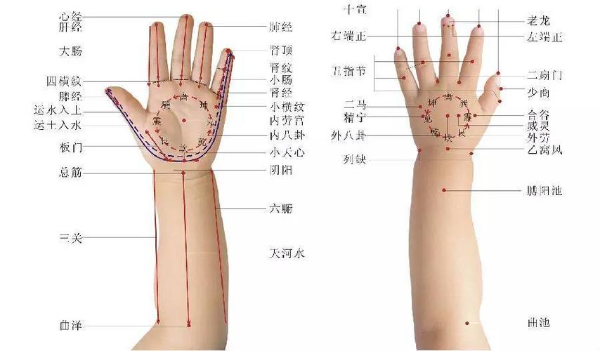 高清真人版小儿推拿常用穴位图解
