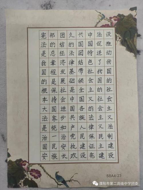 濮阳市二高"全市大中小学生"礼赞宪法"硬笔书写比赛"