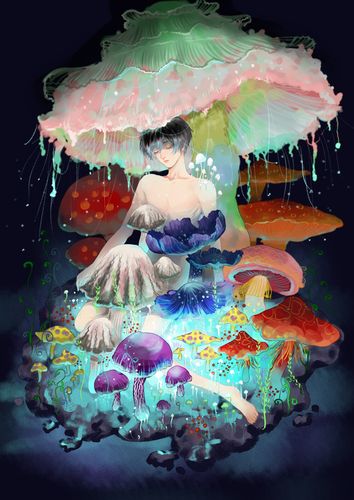 小蘑菇