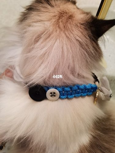 自制猫项圈90_项圈_洁面巾_兴趣爱好_手工