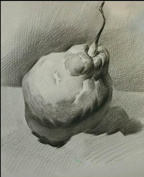 素描梨子深度解析