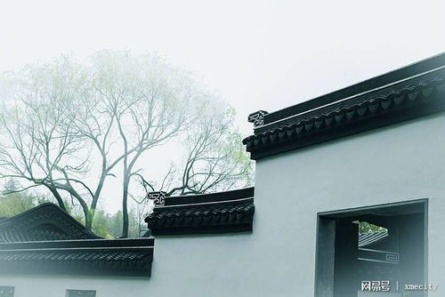 白墙黑瓦绿树,黛染江南屋檐