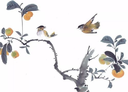 国画小鸟让人心动的瞬间