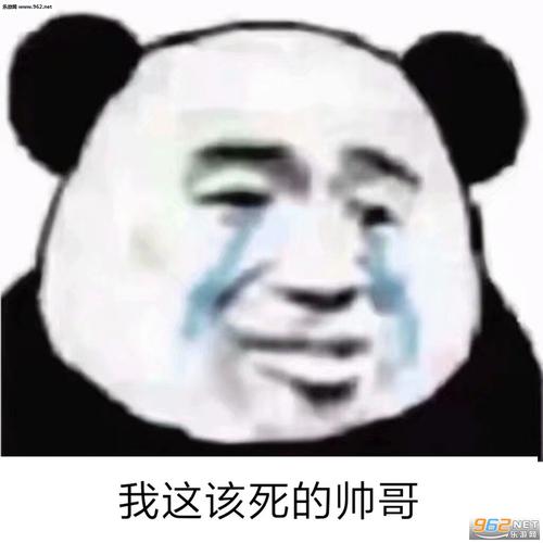 我这该死的帅哥表情包