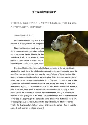 关于写狗狗的英语作文.doc