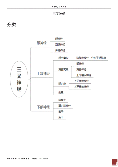 口颌面颈部神经面神经三叉神经思维导图pdf19页