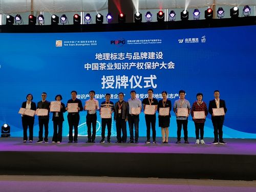 46个茶品牌荣获"最受欢迎地理标志产品"称号.信息时报记者 徐毅儿 摄