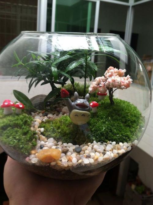 圆形玻璃鱼缸 水培花瓶 多肉植物花瓶 微景观苔藓瓶 生态瓶