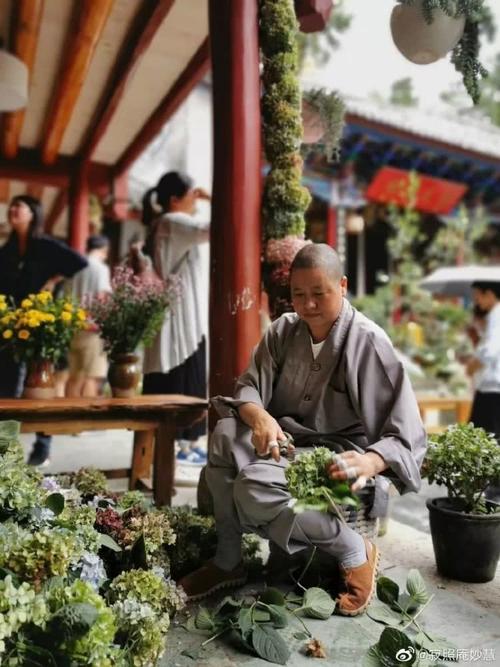 国内最文艺尼姑庵,不烧香只敬花,看一眼都想留下来出家
