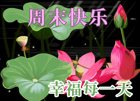 早上好问候祝福动态表情图片周日最新早安问候语动态图片表情