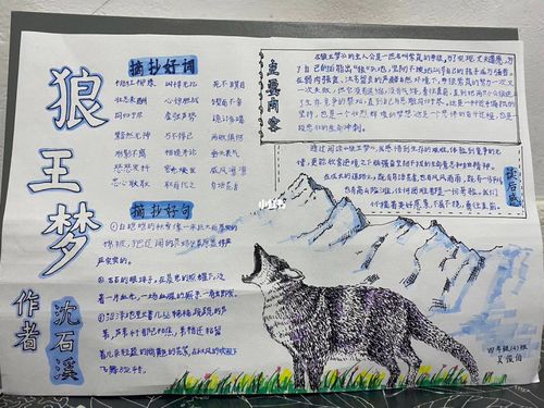 阅读小报手抄报,四年级【狼王梦】读书笔记_阅读_手抄报_读书笔记