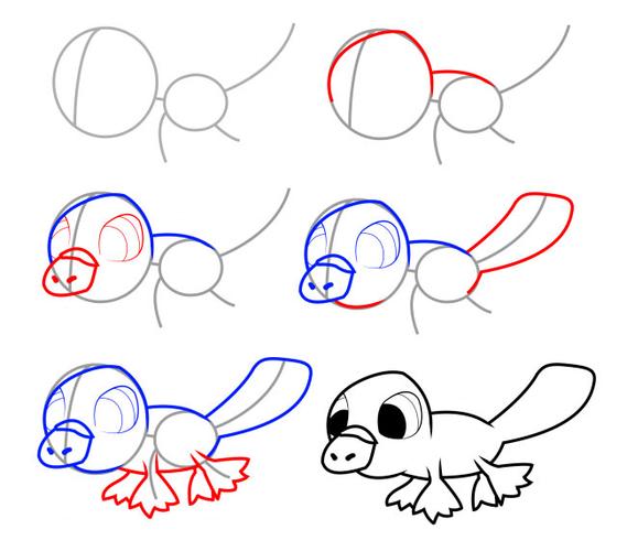 鸭嘴兽简笔画鸭嘴兽简笔画内容包含相关动物简笔画栏目里的鸭嘴兽简笔