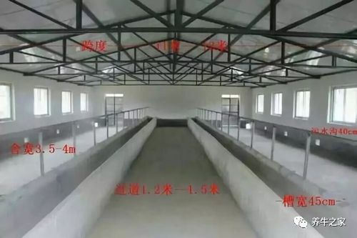 北方封闭式牛舍怎样解决保温与通风之间的矛盾