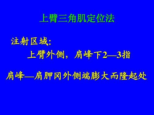 上臂三角肌定位法 注射区域: 上臂外侧,肩峰下2—3指 肩峰—肩胛冈