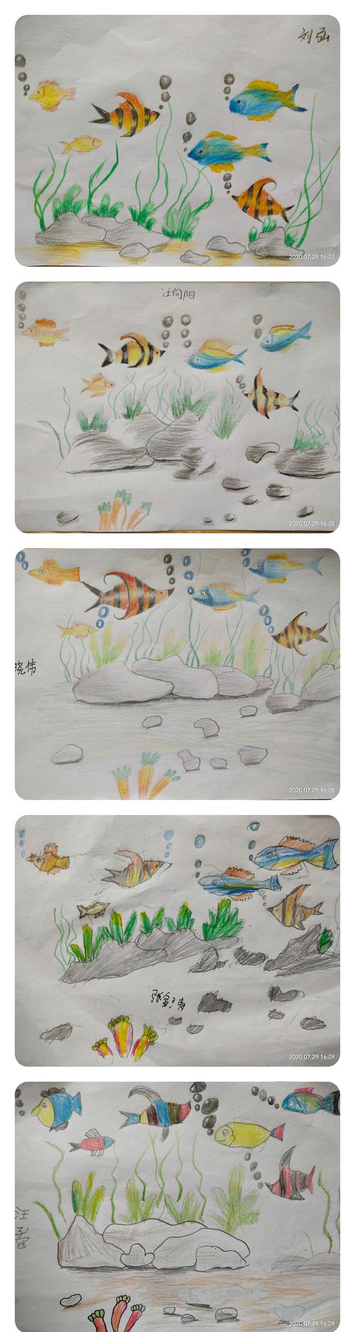 《海底世界》主题绘画——彩铅画