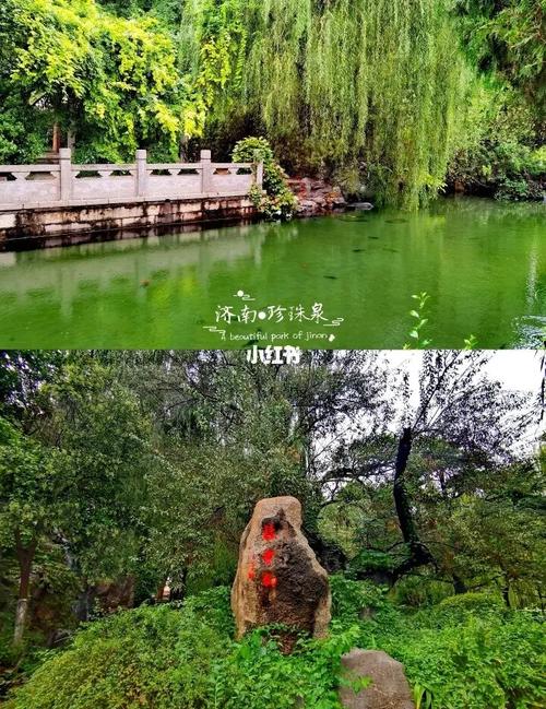 济南珍珠泉 | 藏在老城区内的超美泉景_珍珠泉攻略_建筑_景点_珍珠