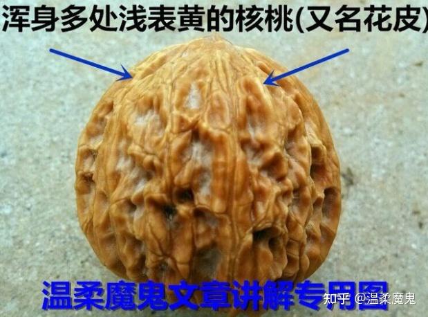 温柔魔鬼聊文玩核桃文玩核桃黄尖花皮能盘过来不