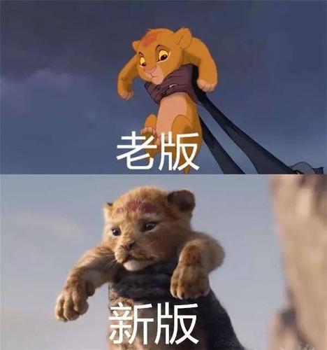 荣耀石上,被举起来的辛巴