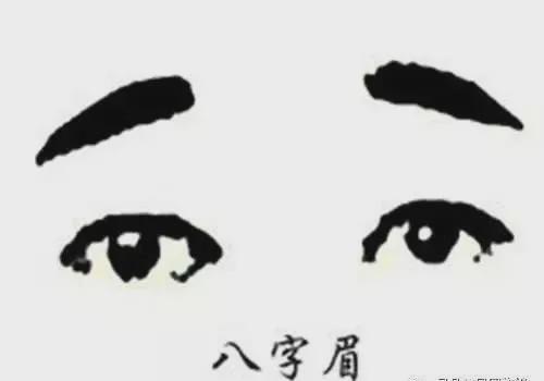 网易首页>网易号>正文申请入驻> 眉形为八字者心宽体胖,乐善好施,热心