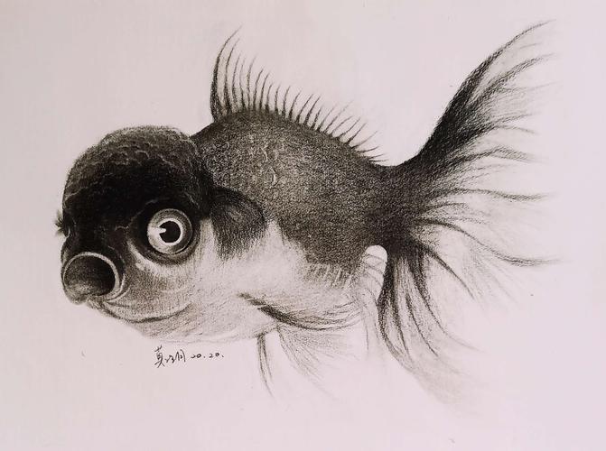 跟杰群老师画鱼