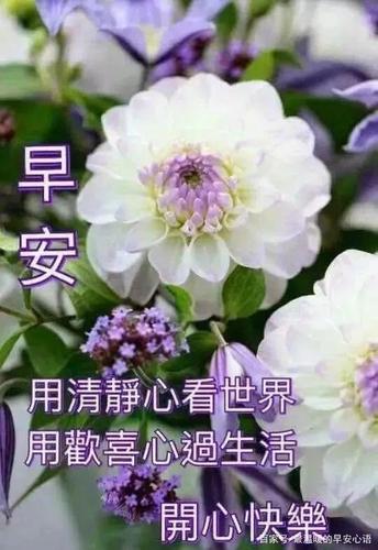 周二早上好唯美祝福图片带字美图 阳光早安问候心语唯美表情动图