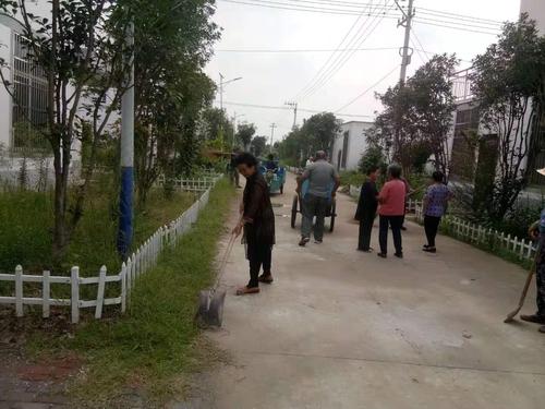 利辛县阚疃镇新桥村先锋网