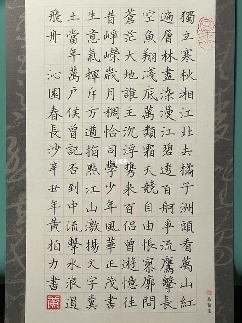 沁园春长沙_硬笔书法_中性笔_兴趣爱好_书法