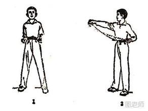 武术长拳的基本招式冲拳,仆步抡拍,五种基本步法.