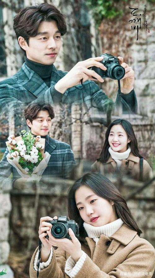 高分韩剧推荐《孤独而又灿烂的神》(又名鬼怪)豆瓣评分8.