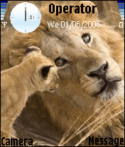 lions