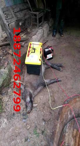 深圳野猪捕猎器 襄阳捕兔机厂家 保护伞工业公司