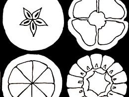 近似图形【切开的蔬菜水果】 reshare879 949