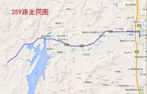 台州机场新增航班:台州市区新增4条公交线,优化调整14
