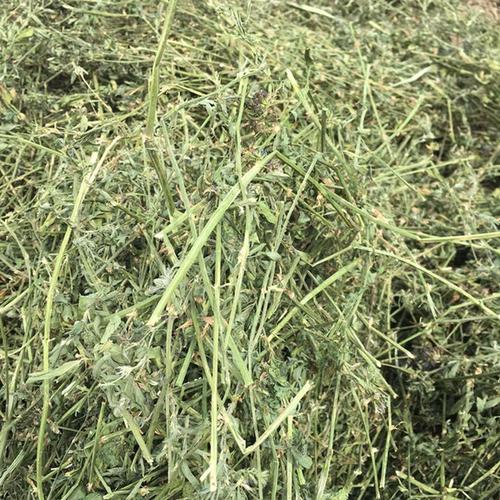 国产紫花苜蓿 草捆 2016新货上新啦 蛋白高 颜色绿.