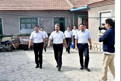 临朐县委书记杜建华到五井镇走访调 