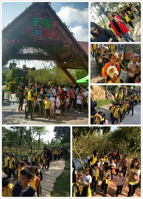 濠江区华乐幼儿园"大手牵小手·快乐去郊游"～丹樱生态园秋游活动剪影