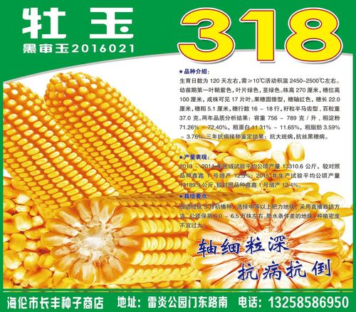 牡玉318玉米品种介绍