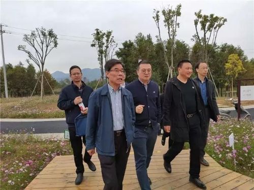 沿水路实地察看了三垟湿地水乡风貌和建设情况,详细了解温州生态园