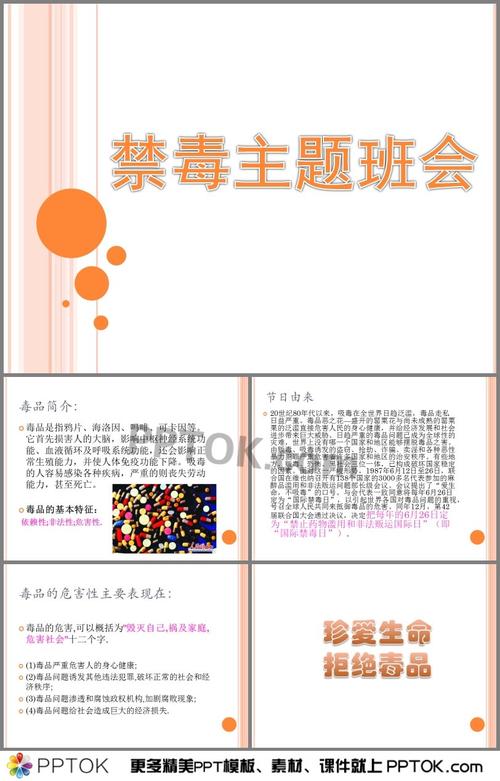 首页 ppt课件 学校ppt 主题班会ppt → 禁毒日主题班会ppt 这是禁毒日