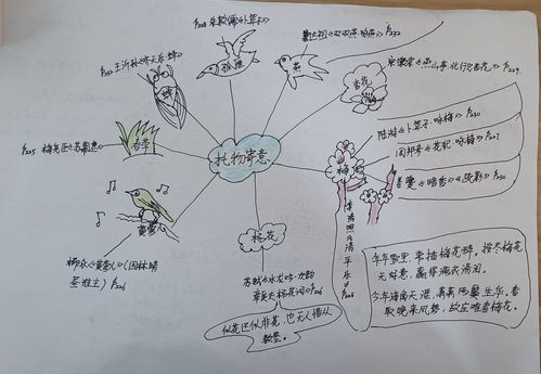 唐诗宋词鉴赏思维导图
