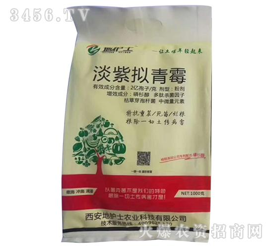 淡紫拟青霉-地护士