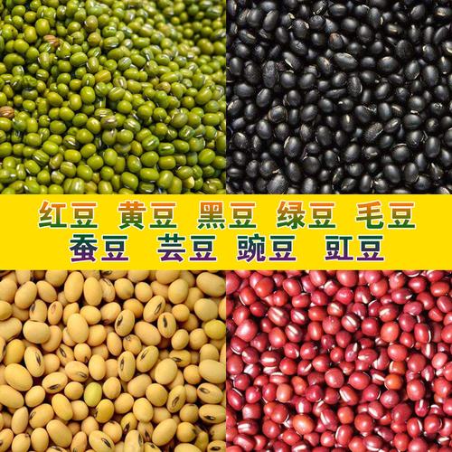 绿豆种子_芽苗菜种籽 无土栽培 阳台种菜红豆黄豆黑豆绿豆毛豆豌豆