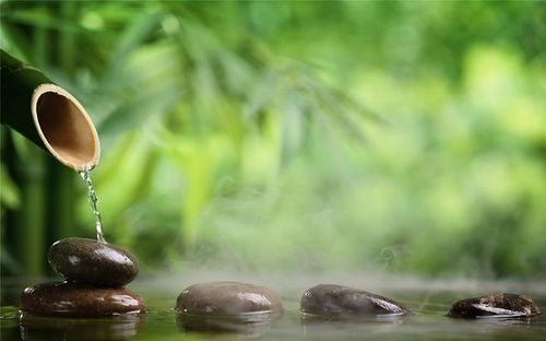 竹子与石头意境写意高清桌面壁纸下载